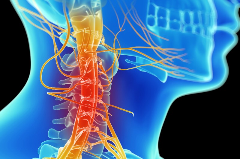 Understanding the Cycle of Nerve Pain and Mental Health