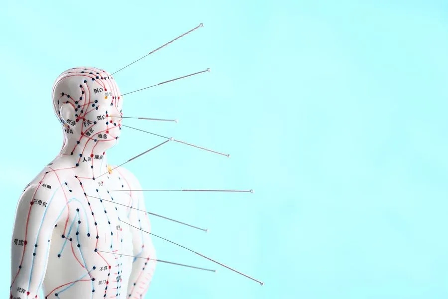 Exploring Acupuncture Points on the Body